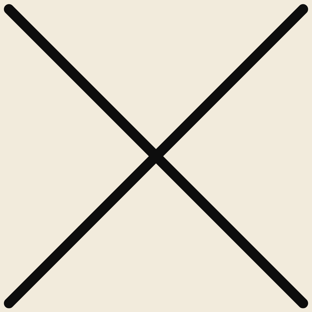 exit icon